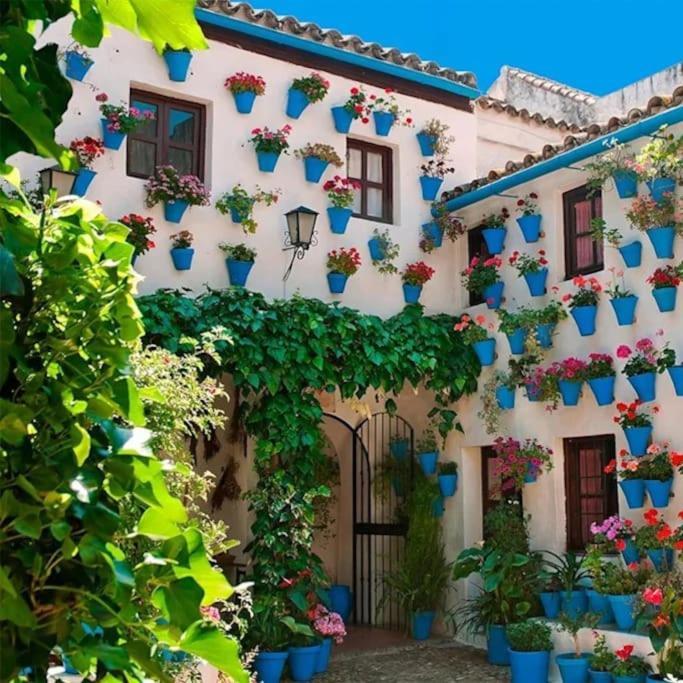 Cordvba Osario Centro Apartment Kordoba Bagian luar foto